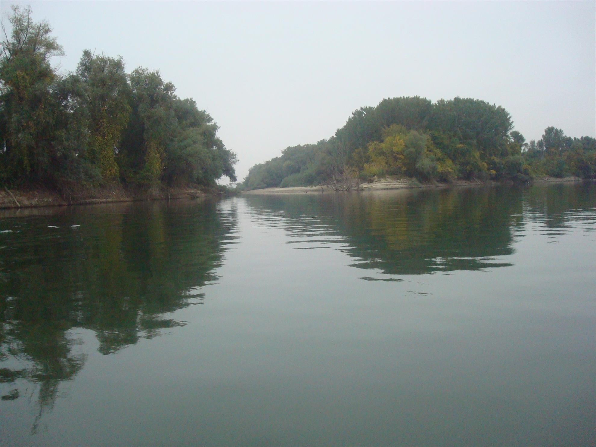 pescuit la Dunare - dsc04661.JPG